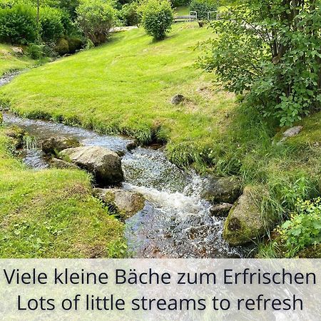 Auszeit Apartment Black Forest Schonach im Schwarzwald Exterior foto