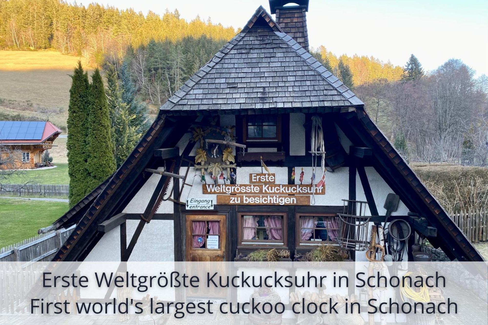 Auszeit Apartment Black Forest Schonach im Schwarzwald Exterior foto